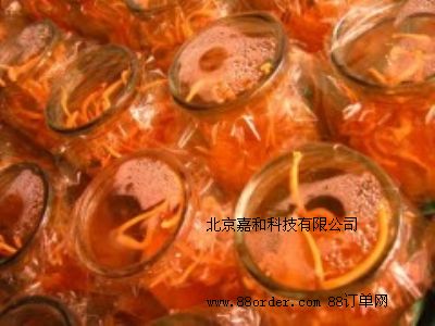 xĲݷNֲ