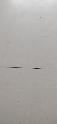 bN