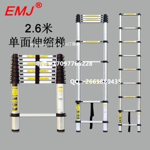 EMJ2.6׆s