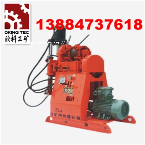 (yng)Wƃ(yu)|(zh)ZLJ-250ӵ@C